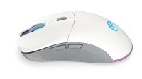 ENDORFY GEM Plus Wireless Onyx White