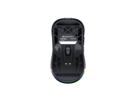 ENDORFY LIV Plus Wireless