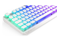 ENDORFY Thock TKL Wireless Pudding
