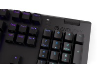 ENDORFY Omnis